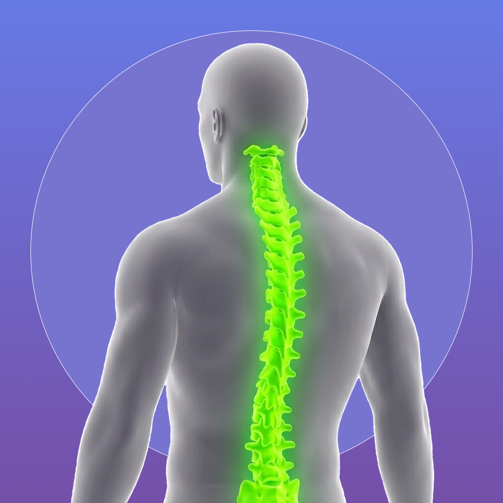 Posture illustration